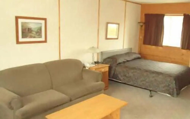 The Dreamland Motel