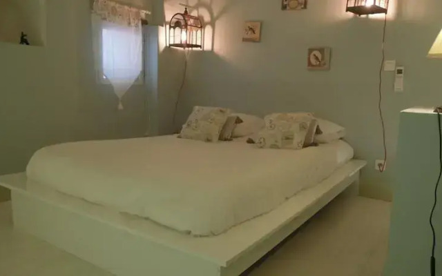 Stay’s-Suite Charlie