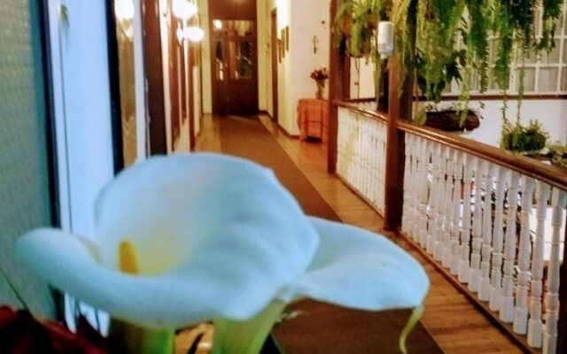 Casa Macondo Bed & Breakfast