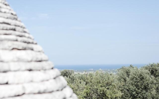 B&B La Collina degli Ulivi