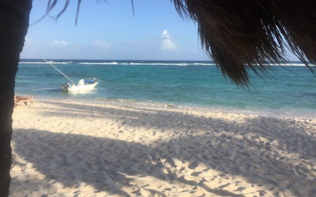 Hammock Heaven