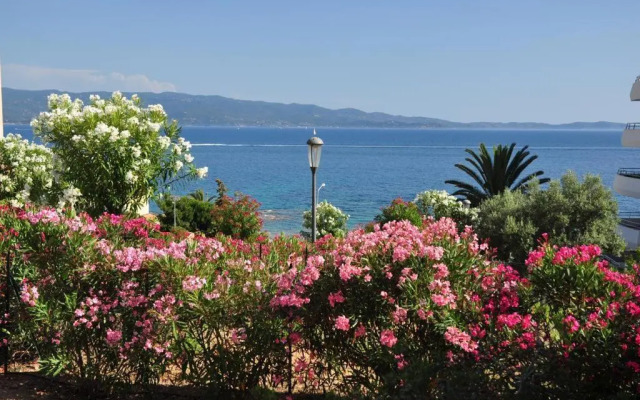 T2 - sanguinaires - Superbe vue mer - proche centre ville