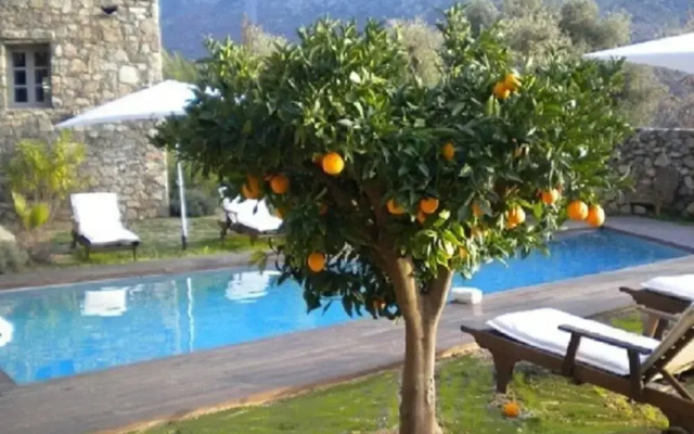 Holiday Home Bomorto