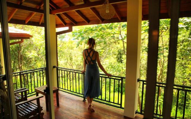 Jungle Paradise Hotel
