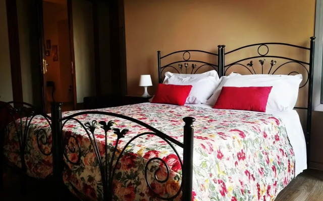 B&B Acanthus