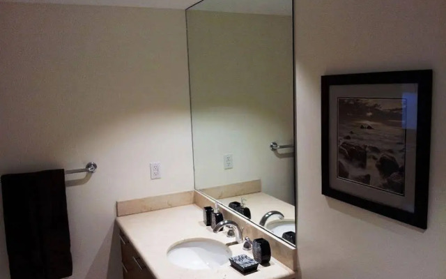 Luxury Apartments at 50 Biscayne