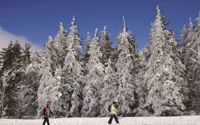 Nature Titisee
