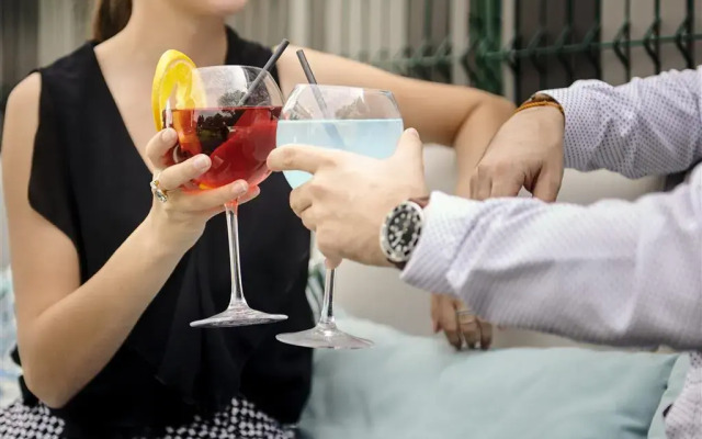 ibis Lyon Gerland Musée des Confluences