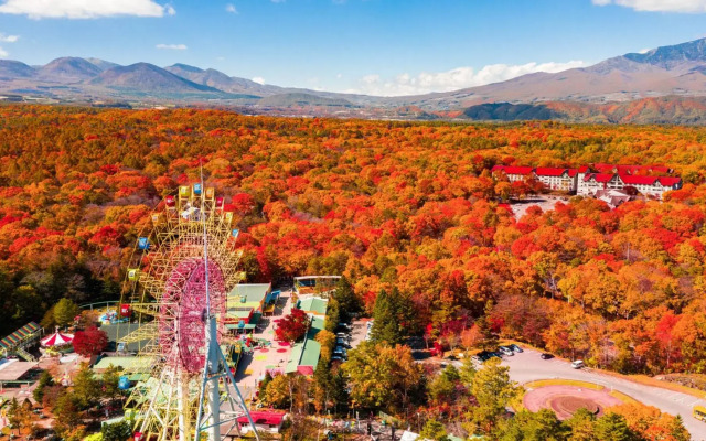 Hotel Green Plaza Karuizawa
