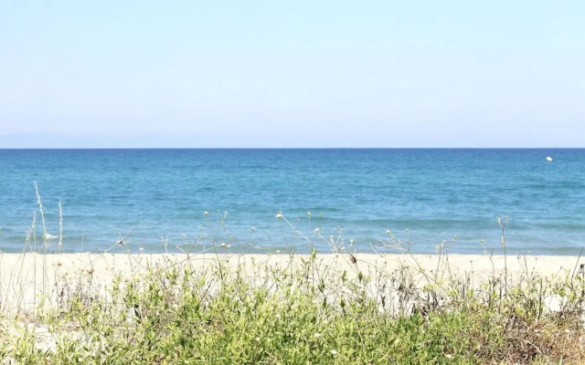 Chambres d'hôtes Le Clos des Oliviers