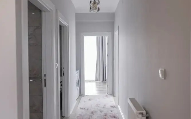 Z&B Home