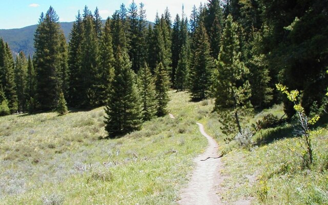 Tennis Townhomes 1312