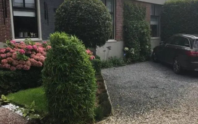 Agapanthus bed and breakfast