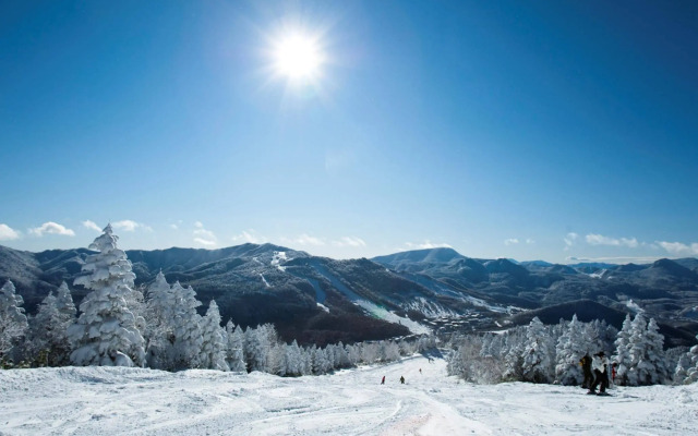 Shigakogen Prince Hotel