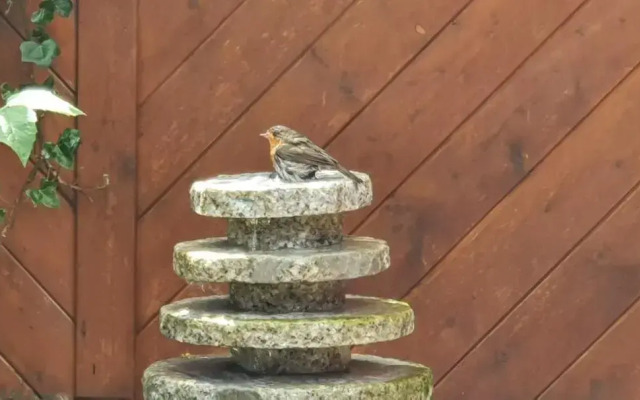 Moin, Moin & Ahoi!