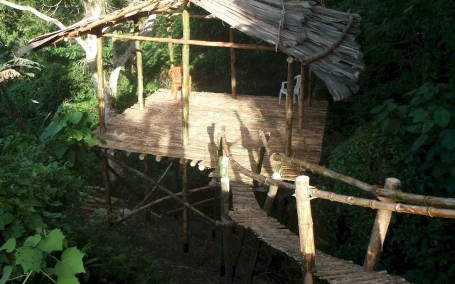 Jurassic Park Hotel