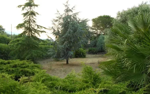 Acireale Tra l'Etna e il Mare