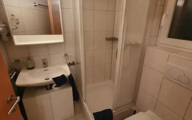 Ski-in cosy studio