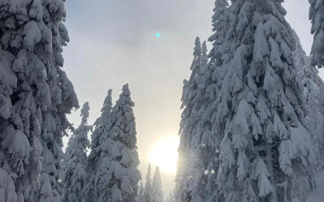 Apartmány Rychtaříkovi