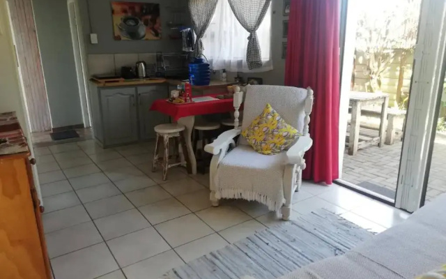 204 on Panorama