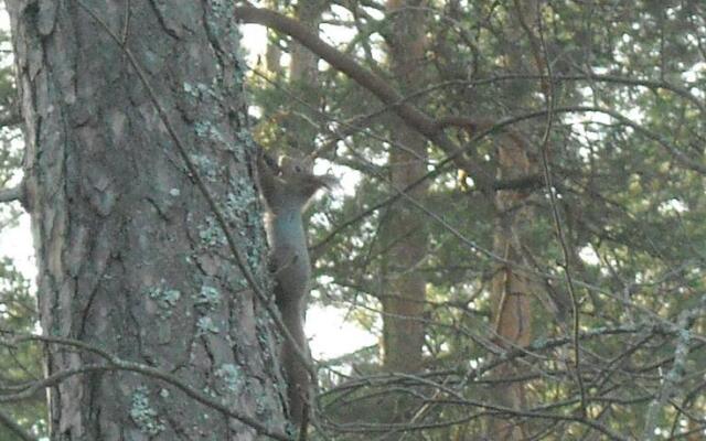 Võsu Gästewohnung - Lahemaa Nationalpark