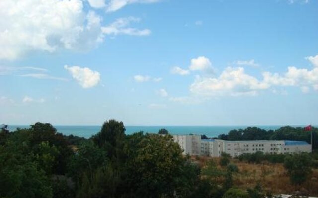 Florya Konagi
