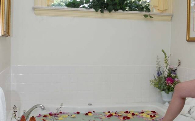 Buhl Mansion Guesthouse And Spa