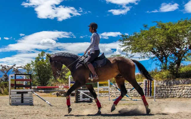 Tunas & Cabras Hotel