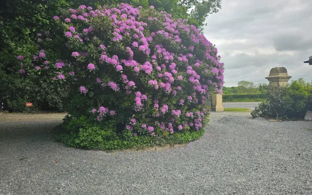 Mountpanther Holiday House