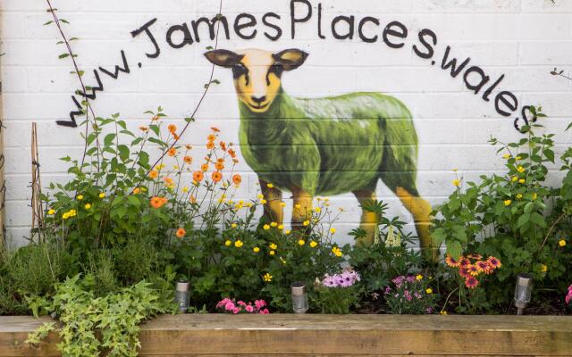 James Place @ Bike Park Wales and The Brecon Beacons