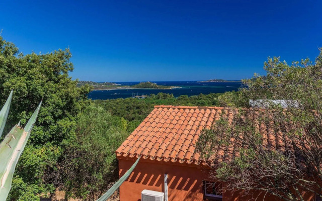 Residence Royal Palm