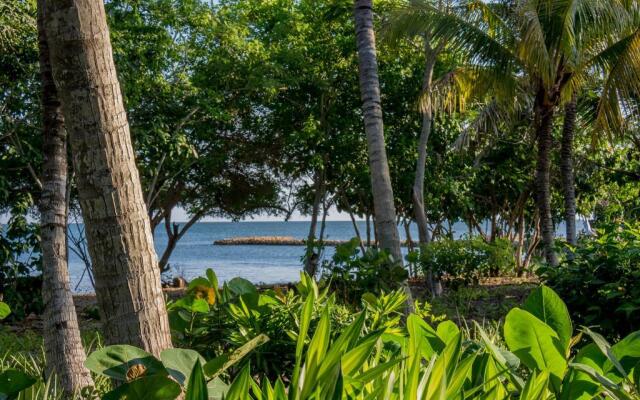 Hotel Playa Manglares Isla Barú