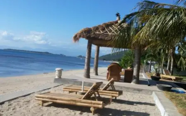 Coral Palms