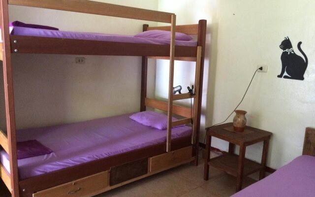 Backpacker Colibri Tarapoto