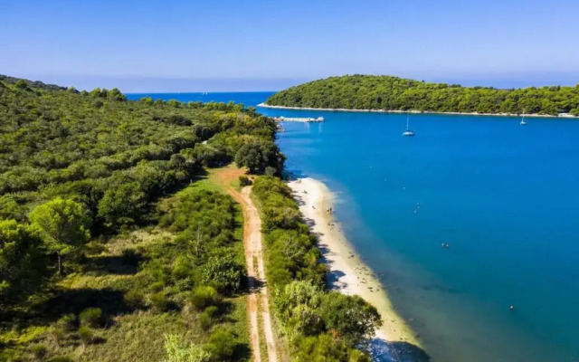 Apartment-Studio-Ginkgo-A1