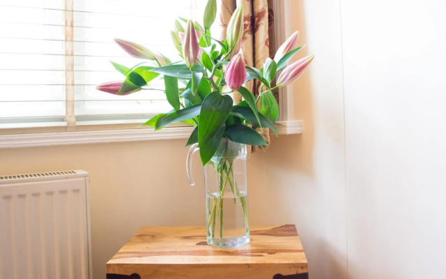 York Terrace Apartments - Norwich City