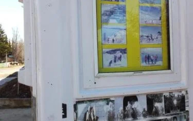 Carnival Mini-hotel