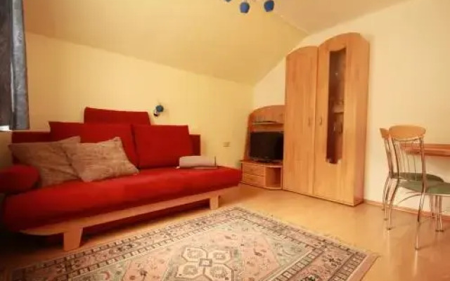 Ski In/Ski Out Appartements Tritscher