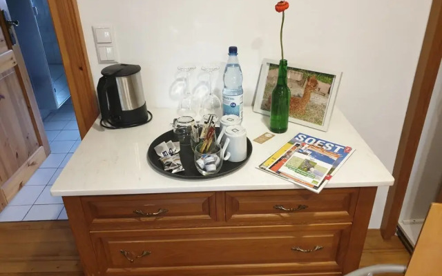 La Alqueria de las Alpacas - Alpakas am Ardey