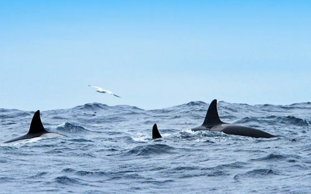 Holiday Home in Averøy