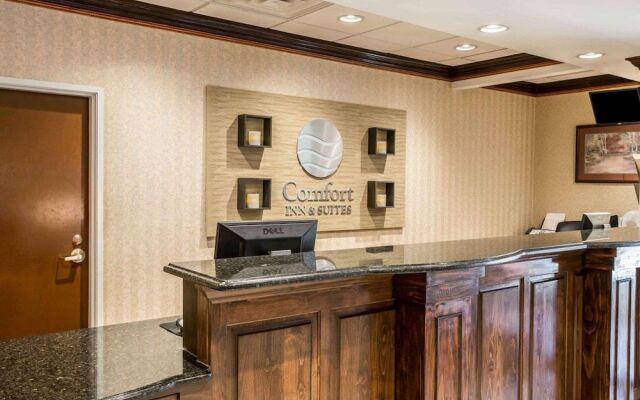 Comfort Inn & Suites