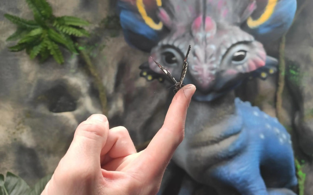 Lipno Riviéra - Myši v botě