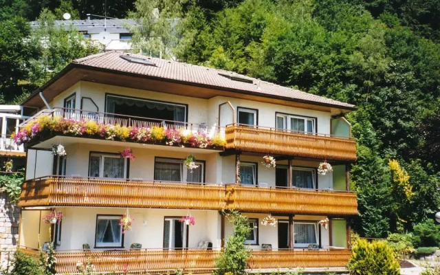 Modern Apartment in Bad Rippoldsau Near Town Center