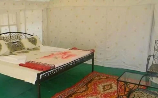 Gangaur Desert Resort By Park Tree