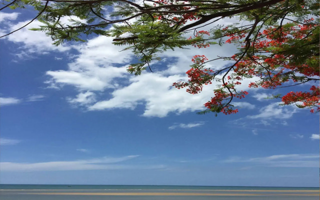 Bacchus Home Resort
