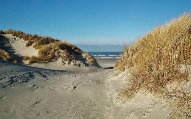 Sunlit Villa with Sauna in Nes