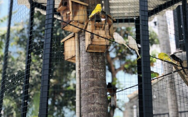 The Jungle Hostel Canggu