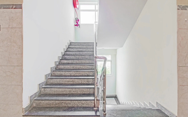 Super Collection O Grand Governorpet