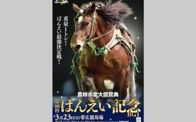 テラス民泊モモ