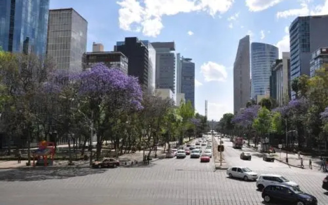 Casa de Chiles - 2 bedrooms in Mexico City